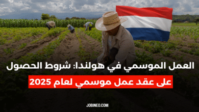 Seasonal Work in the Netherlands: Conditions for Obtaining a Seasonal Work Contract in 2025